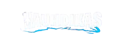 vauhdikas-review